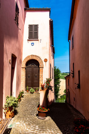 infiorata del Castello di Castiglioni (Arcevia)