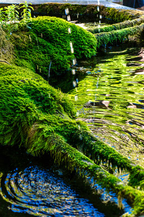 I borghi della Lavanda: Saignon