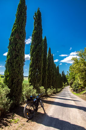Crete Senesi: Strade Bianche
