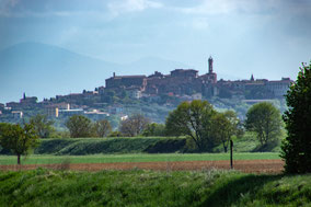 FOIANO DELLA CHIANA