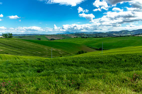 Le colline marchigiane