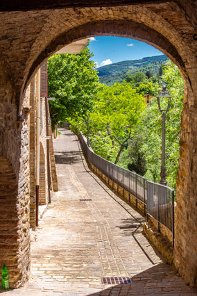 Serra San Quirico