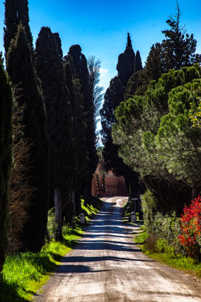 Crete Senesi: un paesaggio lunare tra argilla, storia e magia! Scopri le Biancane di Leonina, le cupolette uniche al mondo, e i panorami mozzafiato della Toscana. Ideale per trekking, foto e avventure slow. #Toscana #CreteSenesi #Valdorcia