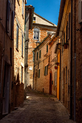 Ostra