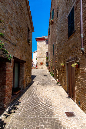 Infiorata del Castello di Castiglioni (Arcevia)