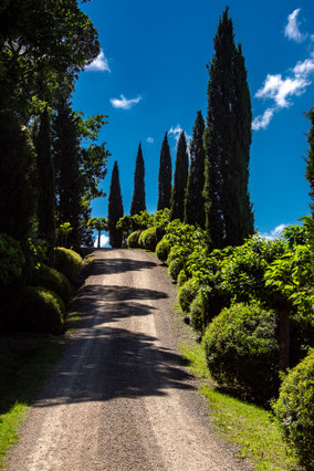 Crete Senesi: Strade Bianche