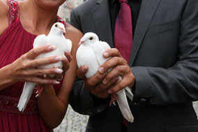 Hochzeitstauben,  Dorfmetzg Buchs, Catering, Partyservice Region Aarau und Aargau