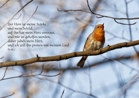 Rotkehlchens Gesang in den Ästen, Christliche Karten mit Bibelvers, Psalm 28