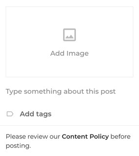 Ein Foto hinzufügen und 3 Tags wählen