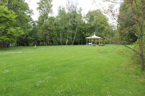 leere Kurparkwiese