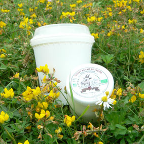 Autres produits laitiers © La ferme des p'tits cllos - chèvre des fossés