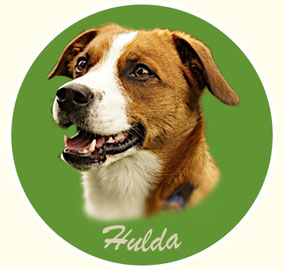 Hulda von der Wimmerfarm