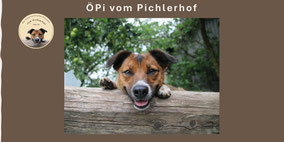 ÖPi vom Pichlerhof  📌  Niederösterreich
