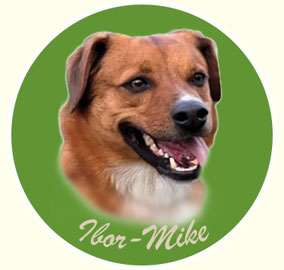 Ibor-Mike von der Wimmerfarm