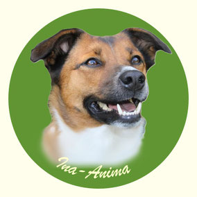 Ina-Anima von der Wimmerfarm