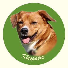 Kleopatra von der Wimmerfarm