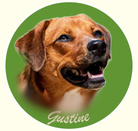 Gustine von der Wimmerfarm