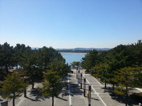 八景島シーパラダイス駅からの見晴らし