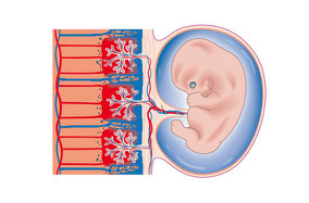 Illustrationen Medizin und Wissenschaft