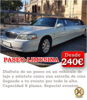 limusinas en conil