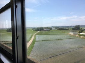 レトロな電車で田園風景を眺める旅