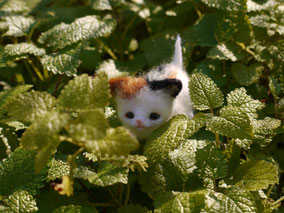 手乗り 三毛猫 羊毛フェルト リアル