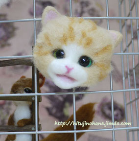 リアル系?羊毛フェルト猫 cat magnet
