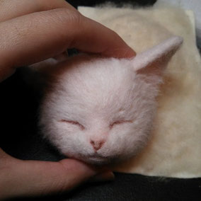 リアル 猫 羊毛フェルト ねこ