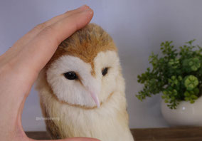 羊毛フェルト メンフクロウ リアル ひつじのはね