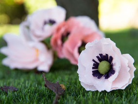 flor-amapola-papel