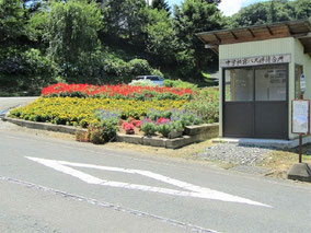 一関東山　山谷自治会(長坂)　中学校前バス停花壇