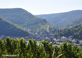 Uitzicht op Traben-Trarbach