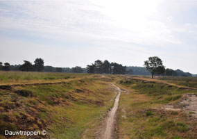 Natuurgebied Bakkeveen