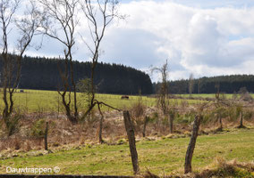 Natuur bij Troisvierges