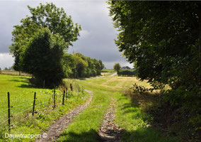Velden bij het Hürtgenwald