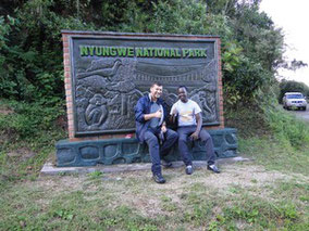 nyungwe-national-park.jpg
