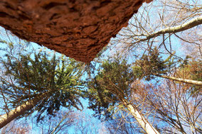 Impressionen der schönen Landschaft - Jordi-Hof Bewirtung und Übernachtung auf dem Bauernhof in Ochlenberg