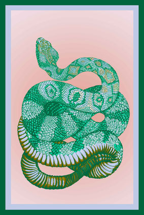 printed Tea Towel: SNAKE by MADEMOISELLE CAMILLE