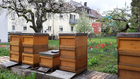 Beuten