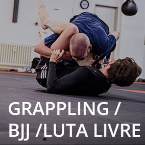 Grappling, BJJ und Luta Livre in Bielefeld