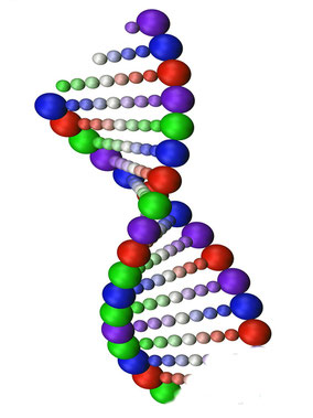 DNA-streng