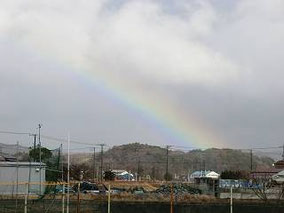 小雨の後、大きな虹が見えました。