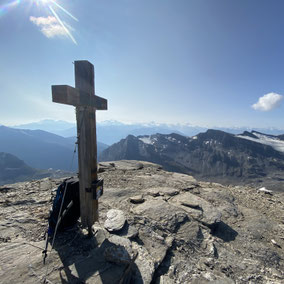 Alpintrekking Lötschenpasse- und Gemmipass: Naturbeobachtungen und Gipfelbesteigungen zwischen Wallis und Berner Oberland