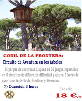 circuito en los arboles