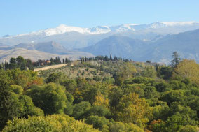 Bäume und Berge in der Sierra Nevada im Süden Spaniens