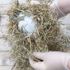 Taking the DIY hay concrete Easter nest of the balloon by PASiNGA tutorials