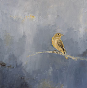 Vogel 30x30cm acryl op canvas 2024 (Privé collectie Hamburg Germany)