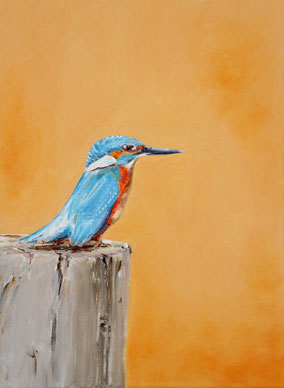 Kingfisher on Wooden Pole 40x30cm acrylic on canvas 2025 (Privé collectie Milaan Italië)