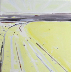 Koolzaadveld 30x30cm olie op katoen 1998