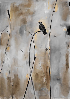 Little Black Bird 70x50cm acryl op ongeprepareerd canvas 2025 (Privé collectie Drachten NL)